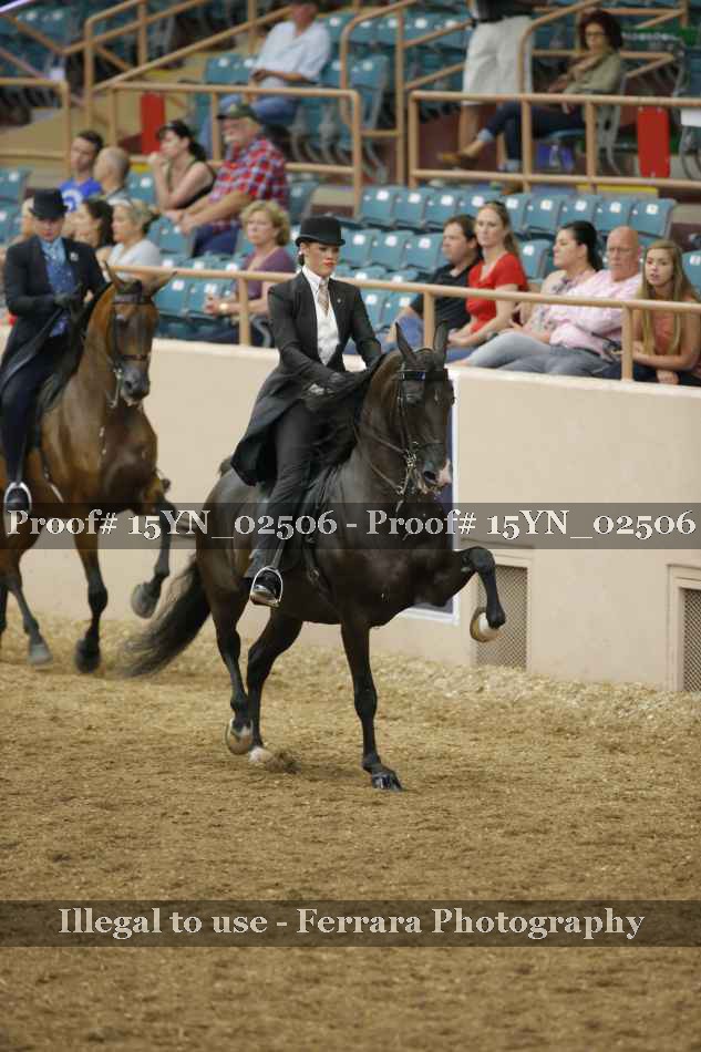 Proof 15YN_02506