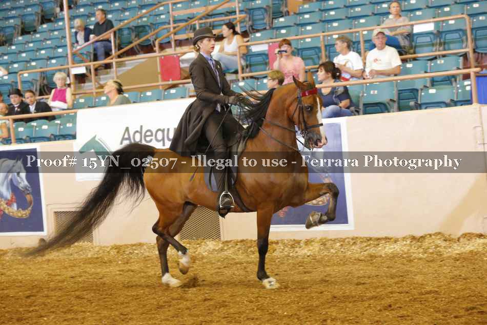 Proof 15YN_02507