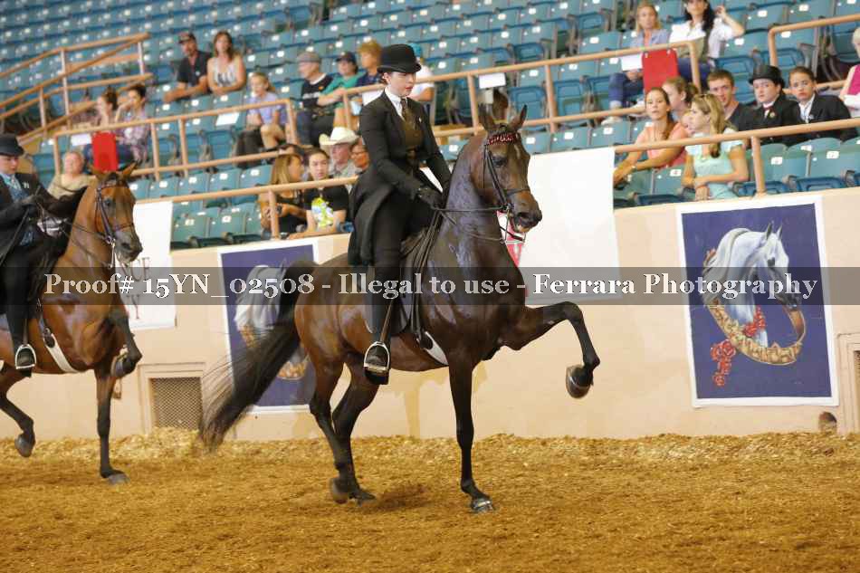 Proof 15YN_02508
