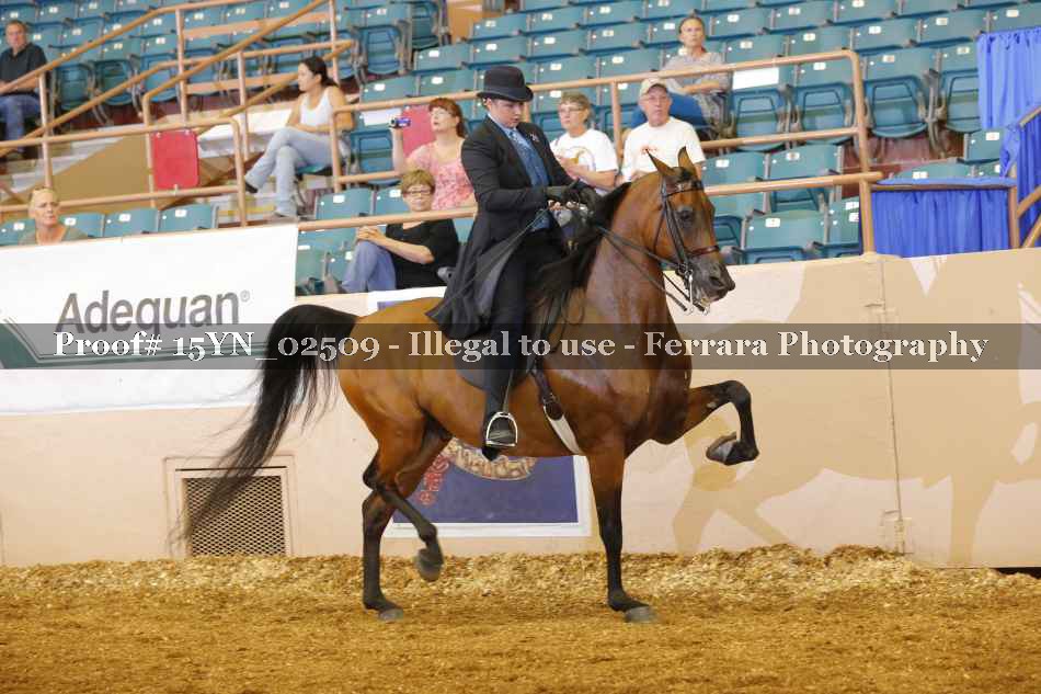 Proof 15YN_02509
