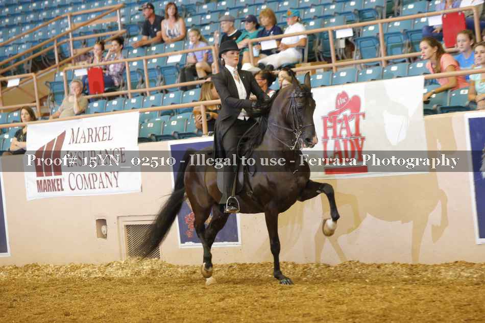 Proof 15YN_02510