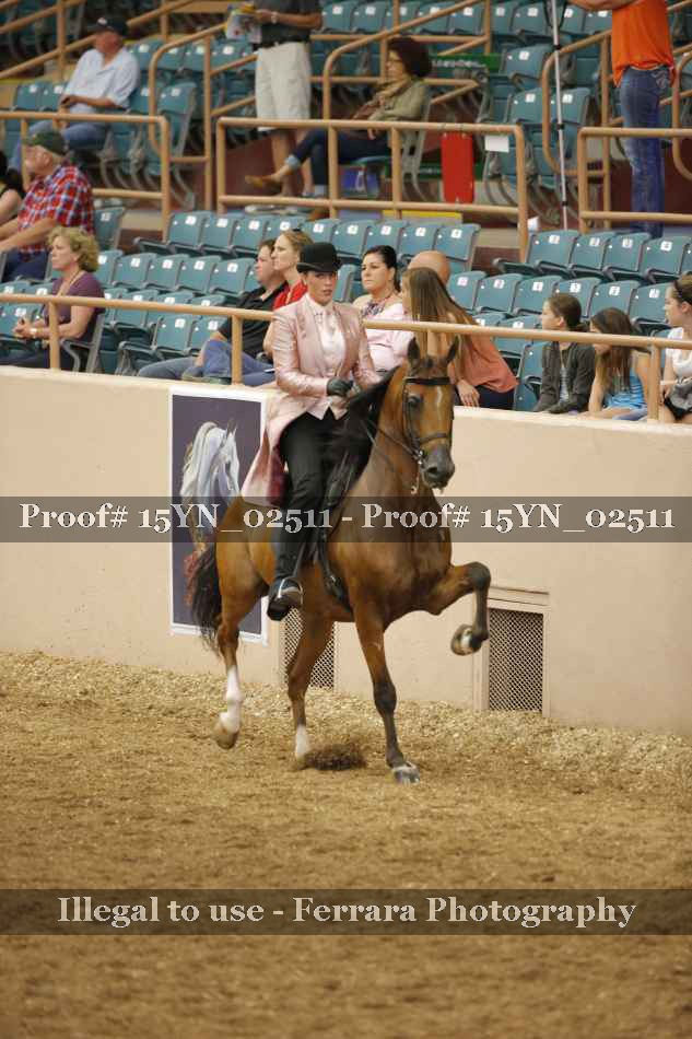Proof 15YN_02511