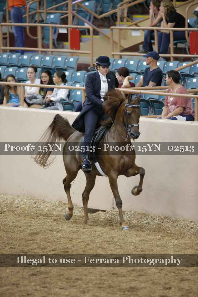 Proof 15YN_02513