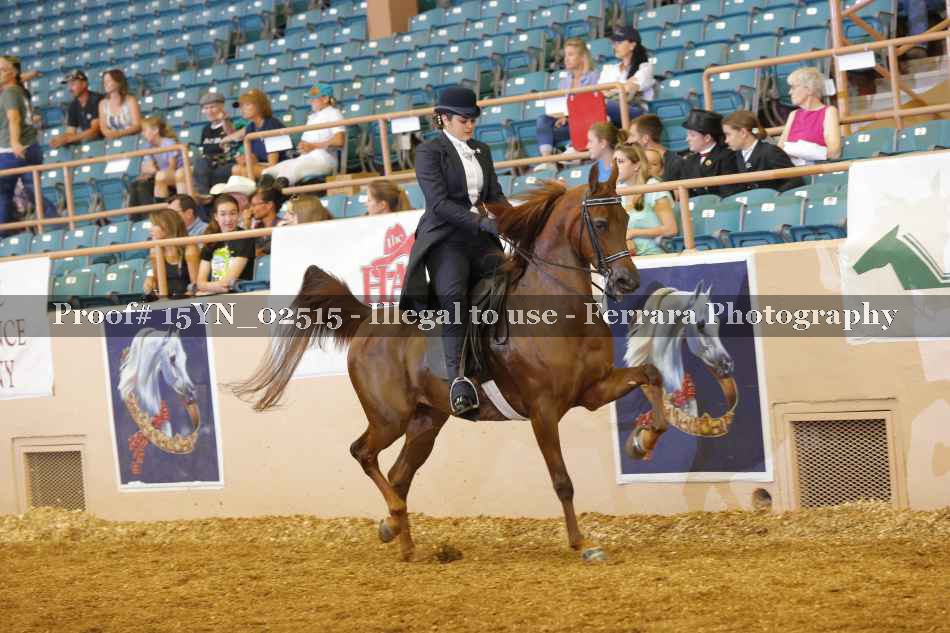 Proof 15YN_02515