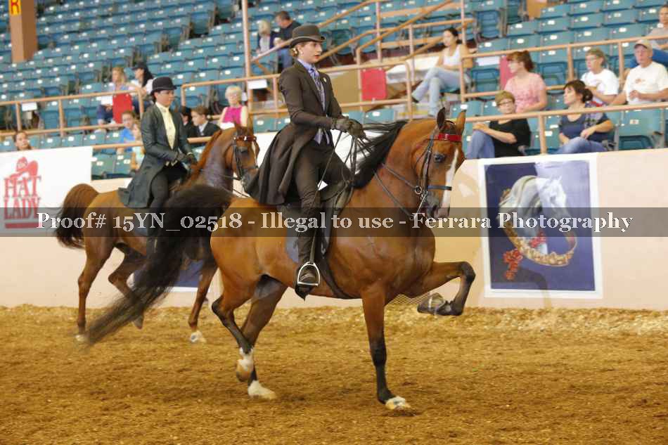 Proof 15YN_02518