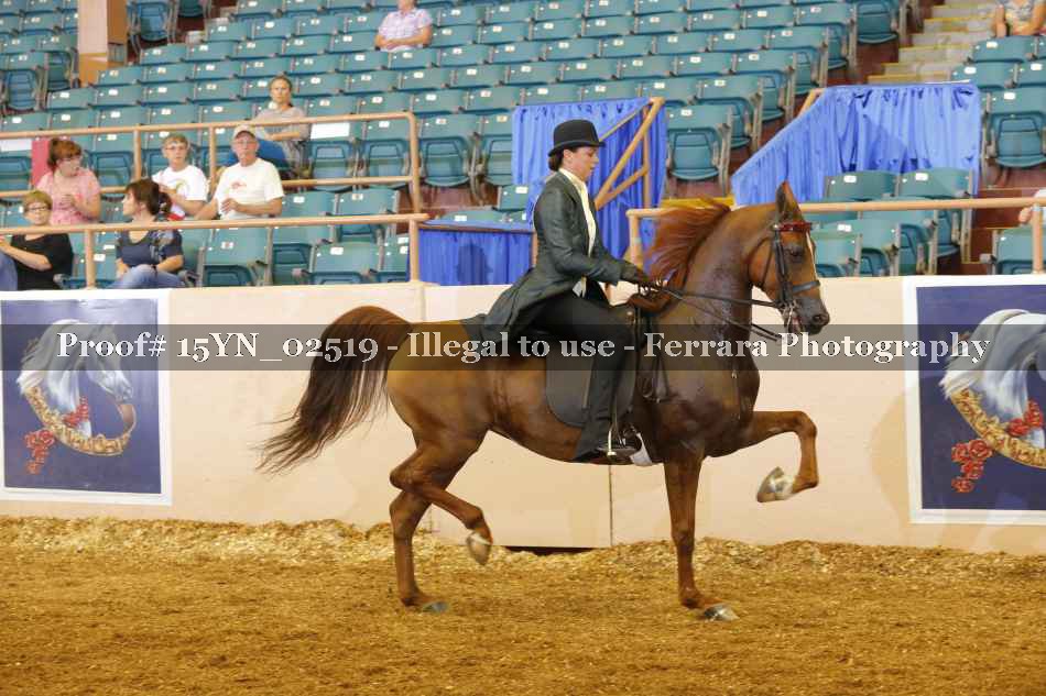 Proof 15YN_02519