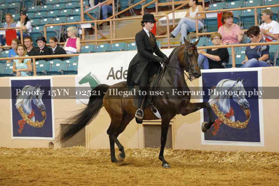 Proof 15YN_02521