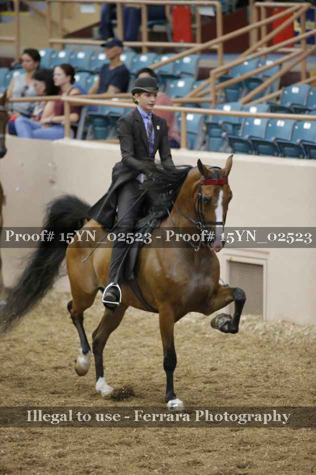 Proof 15YN_02523