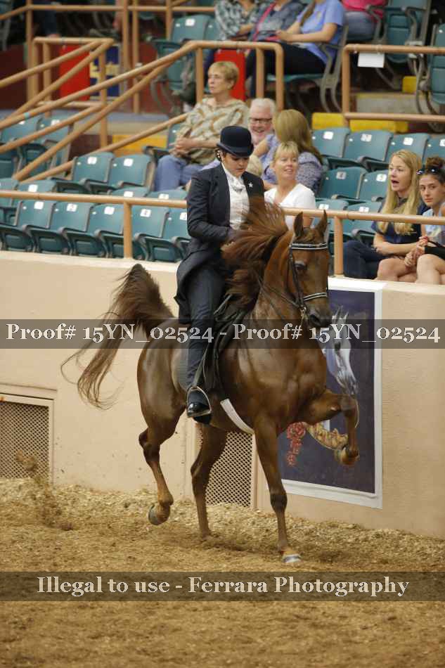 Proof 15YN_02524