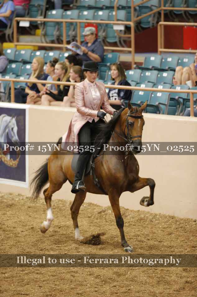 Proof 15YN_02525