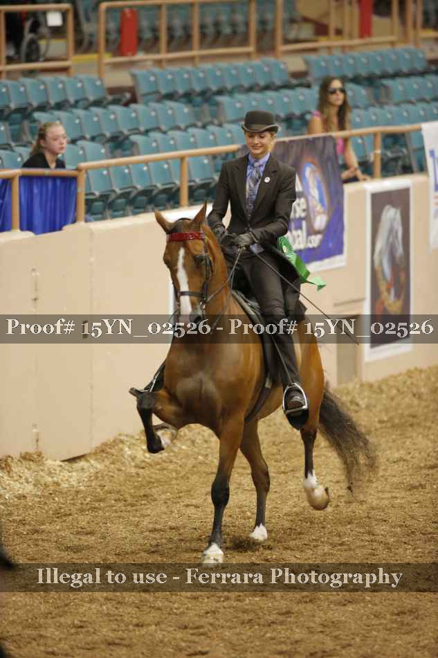 Proof 15YN_02526