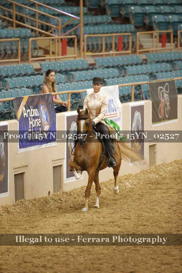 Proof 15YN_02527