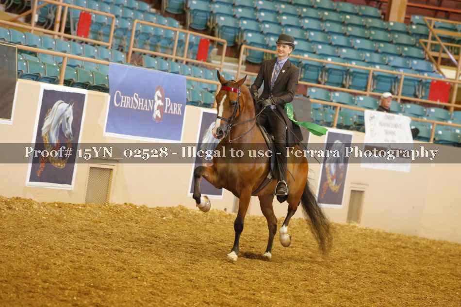 Proof 15YN_02528