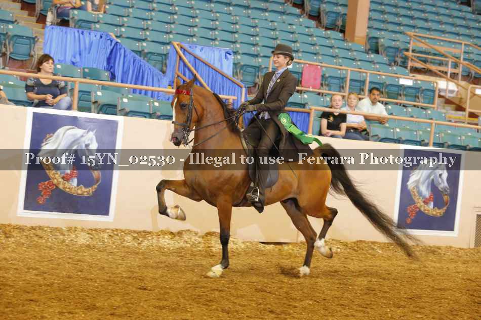 Proof 15YN_02530