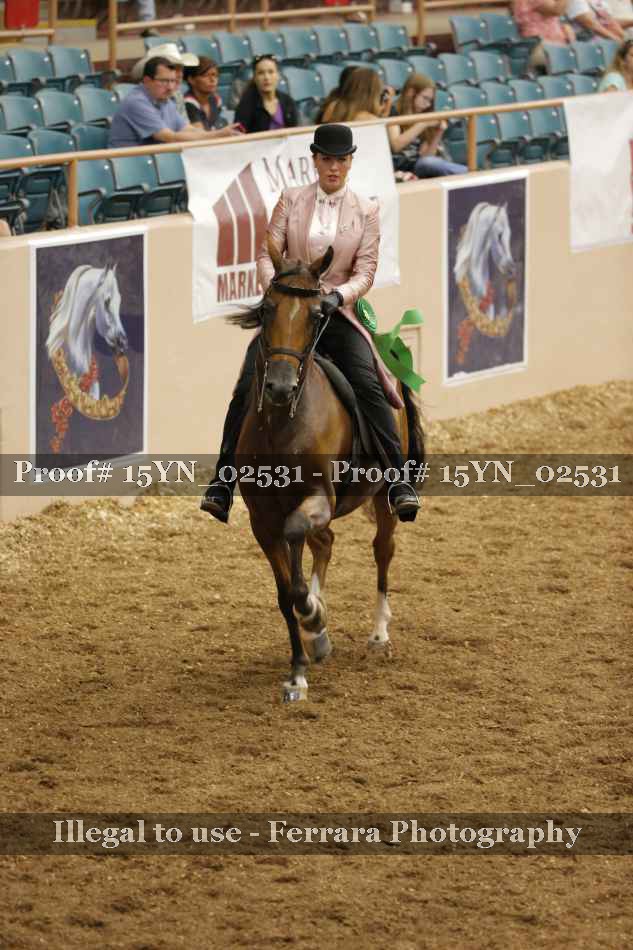 Proof 15YN_02531