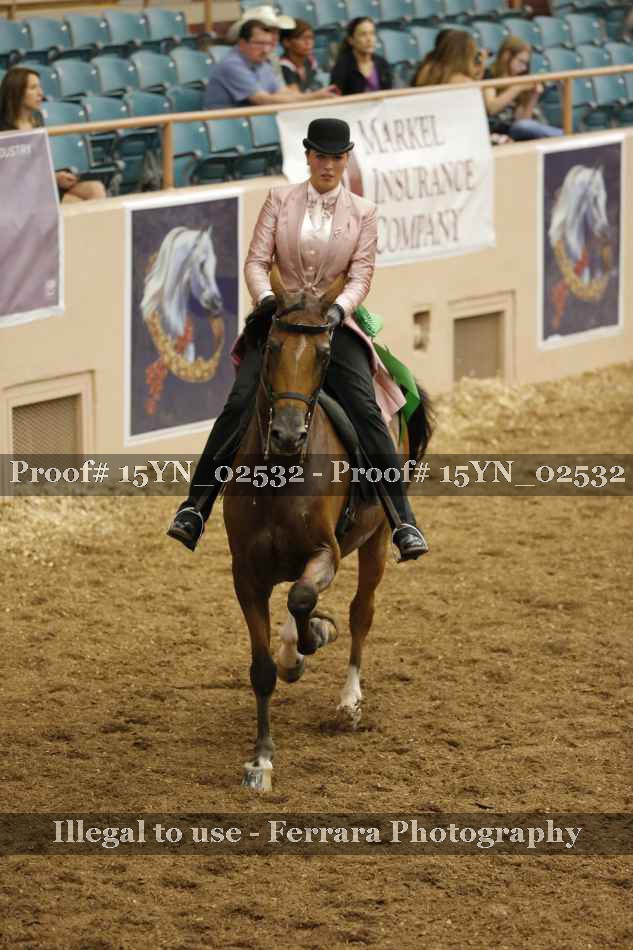 Proof 15YN_02532