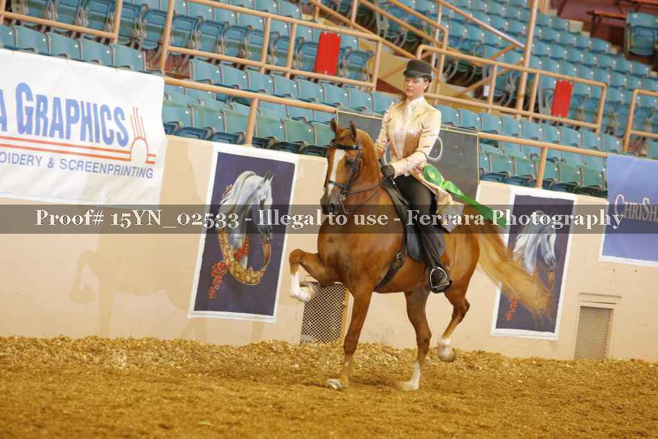 Proof 15YN_02533