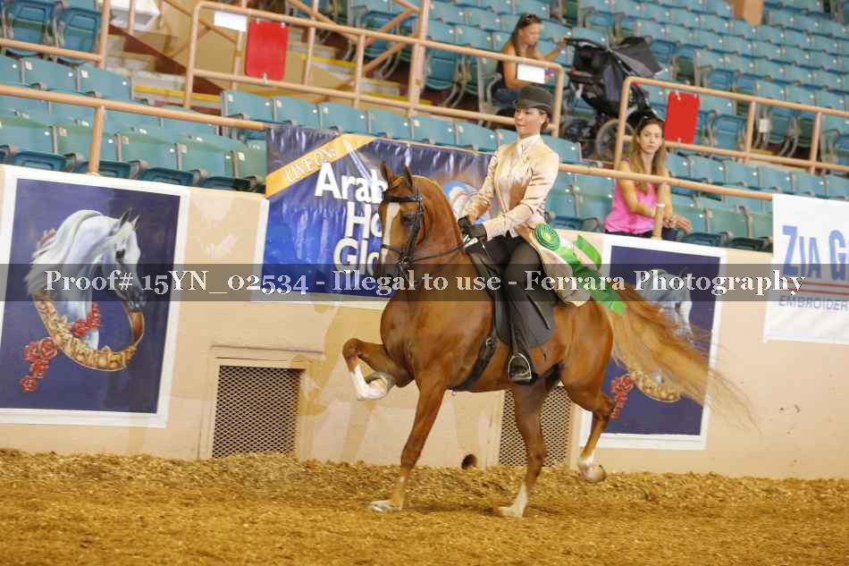 Proof 15YN_02534