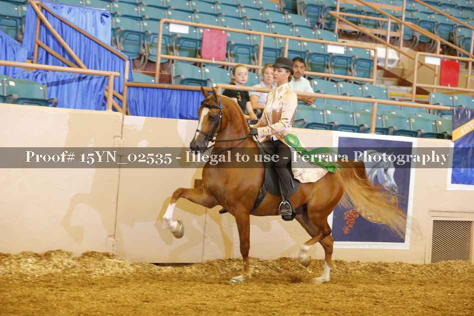 Proof 15YN_02535