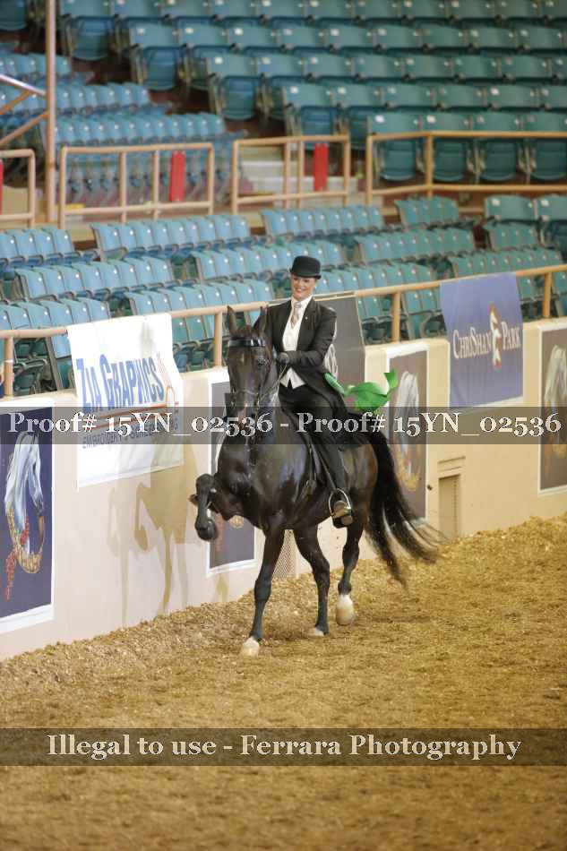 Proof 15YN_02536