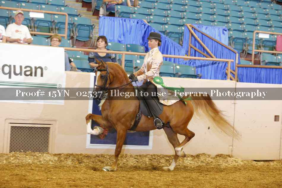 Proof 15YN_02537