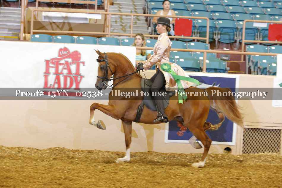 Proof 15YN_02538