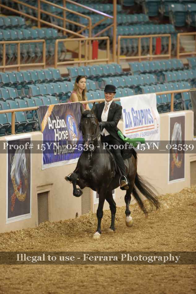 Proof 15YN_02539