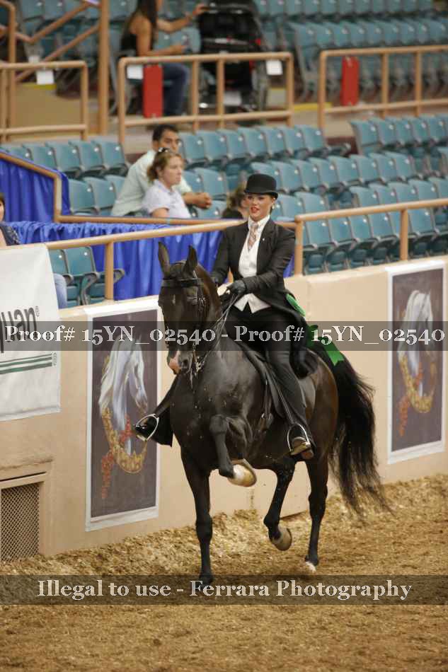 Proof 15YN_02540