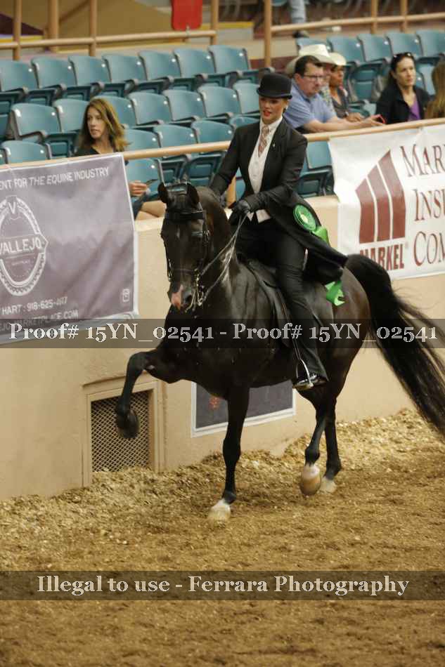 Proof 15YN_02541