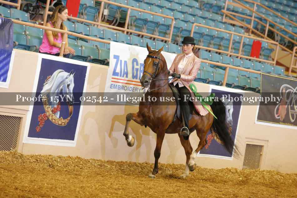 Proof 15YN_02542