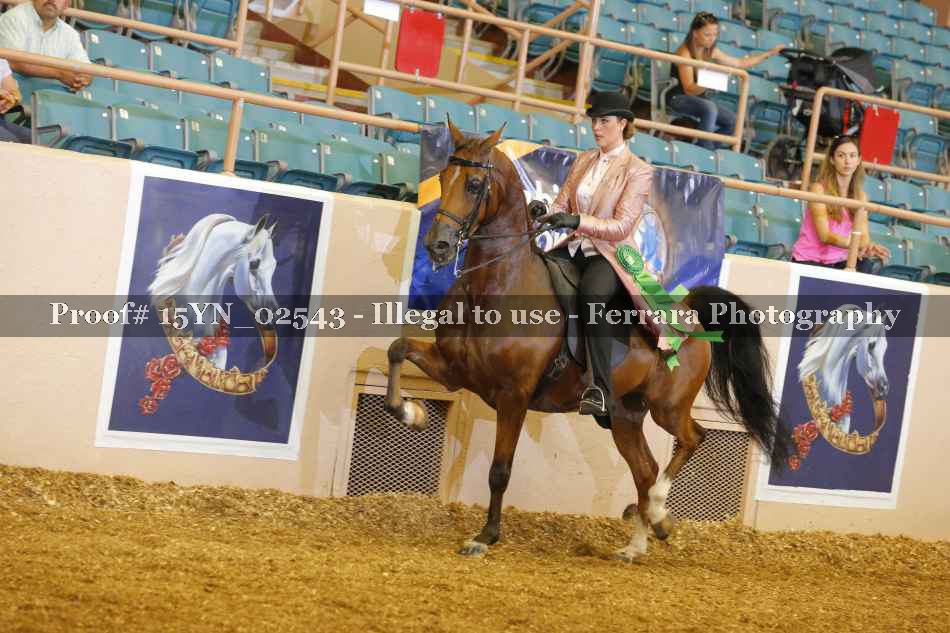 Proof 15YN_02543