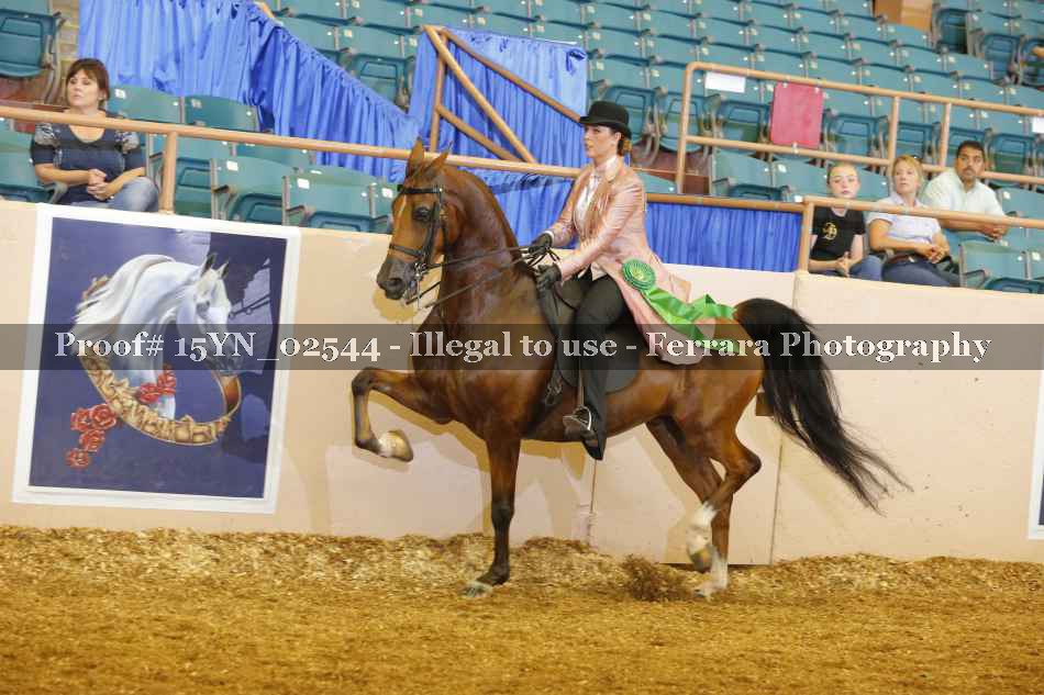 Proof 15YN_02544