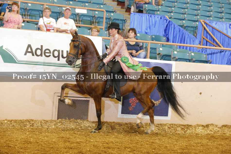 Proof 15YN_02545