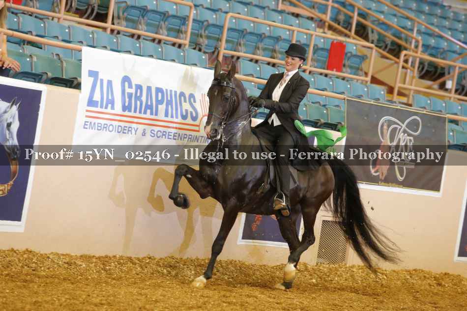 Proof 15YN_02546