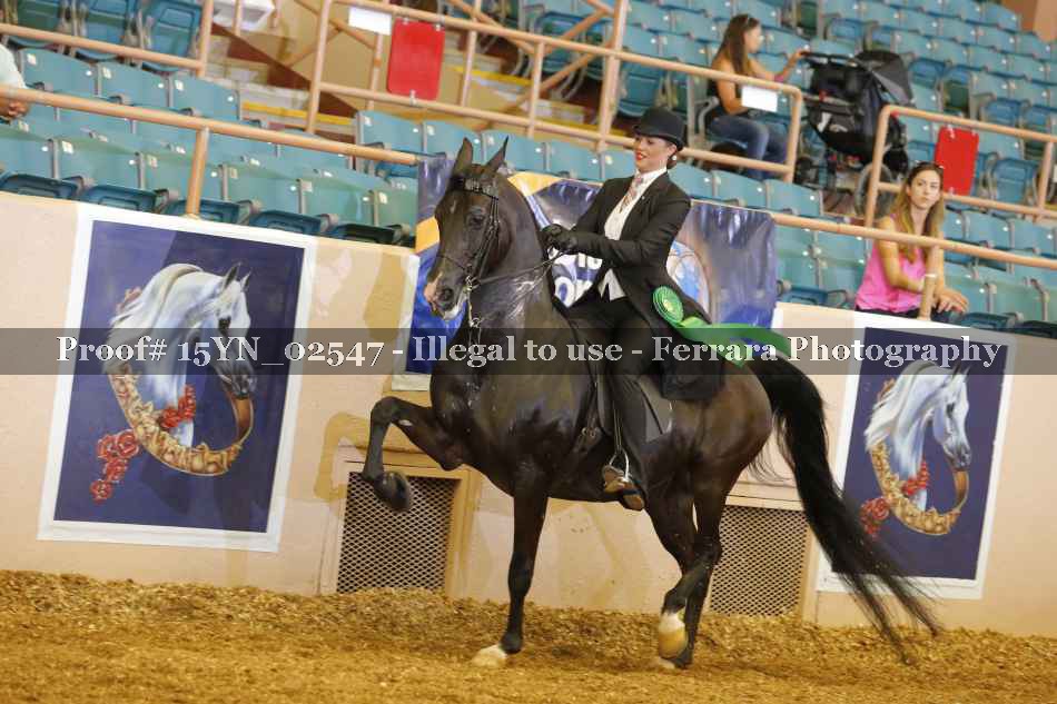 Proof 15YN_02547
