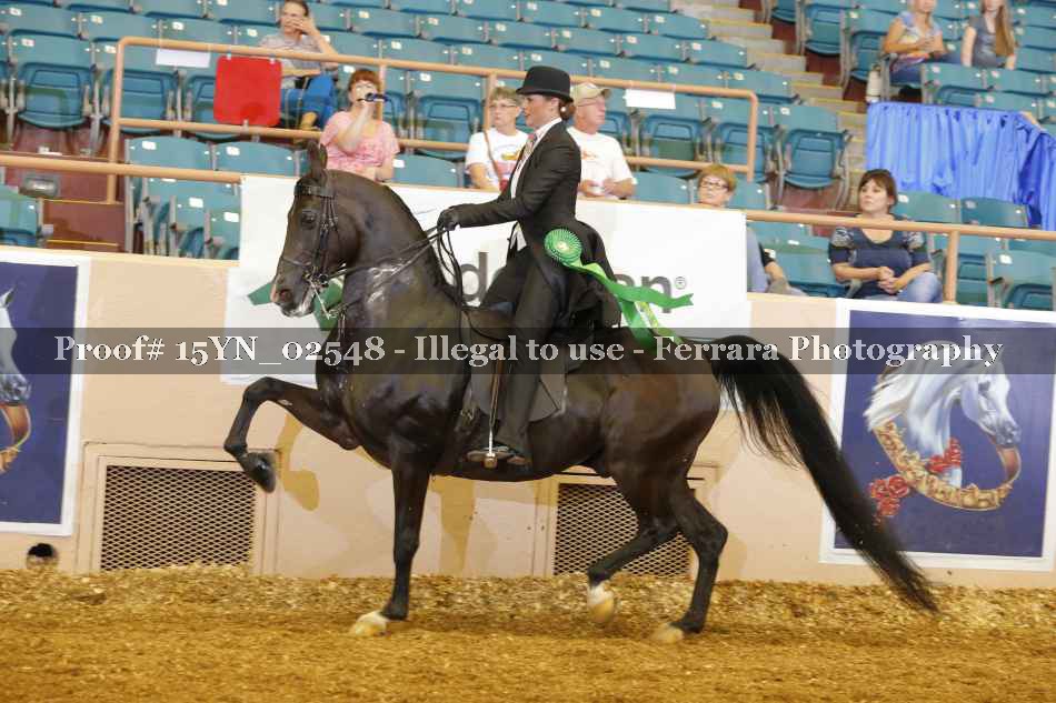 Proof 15YN_02548