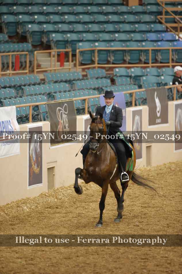 Proof 15YN_02549