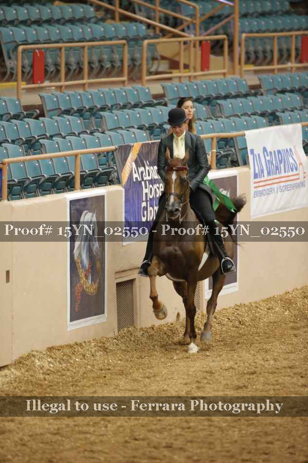 Proof 15YN_02550