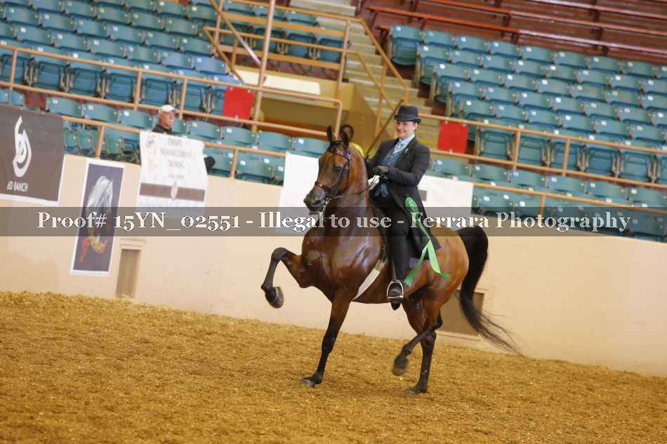 Proof 15YN_02551