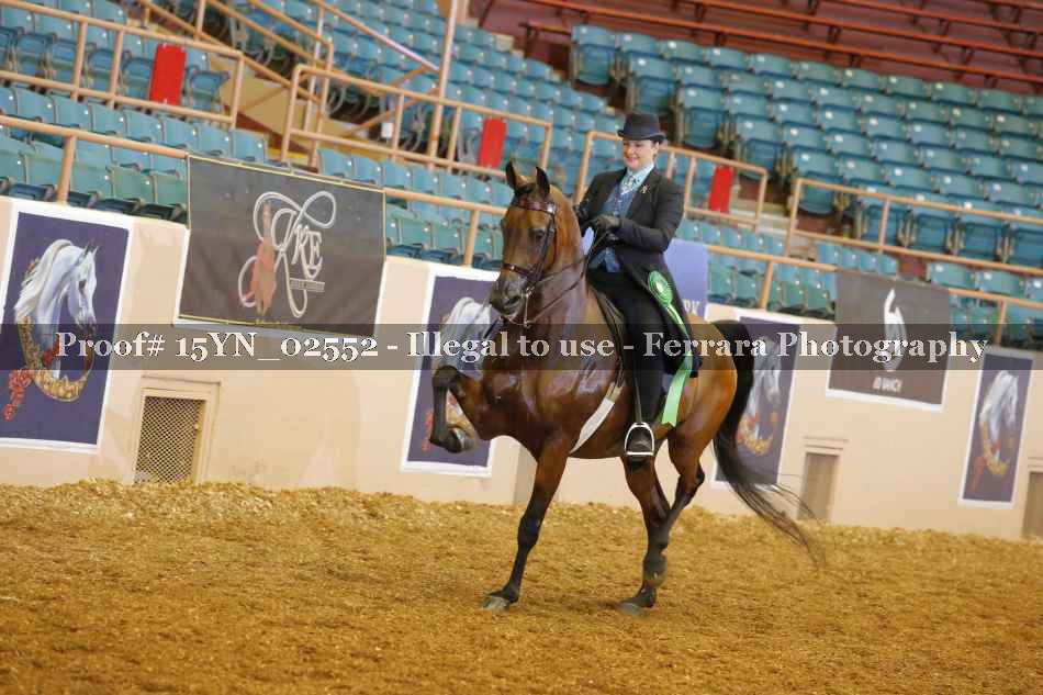 Proof 15YN_02552