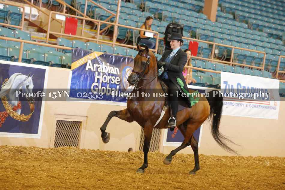 Proof 15YN_02553