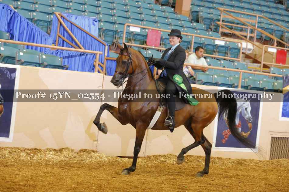 Proof 15YN_02554