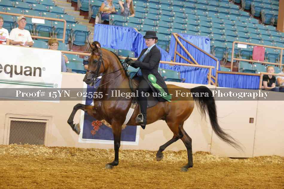 Proof 15YN_02555