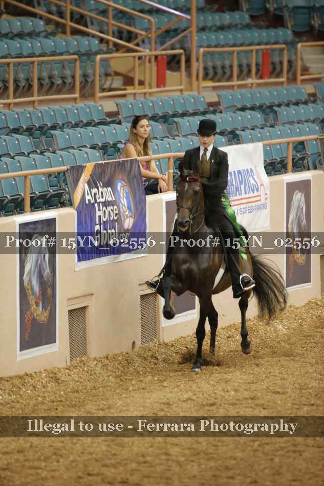 Proof 15YN_02556