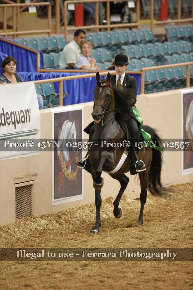 Proof 15YN_02557