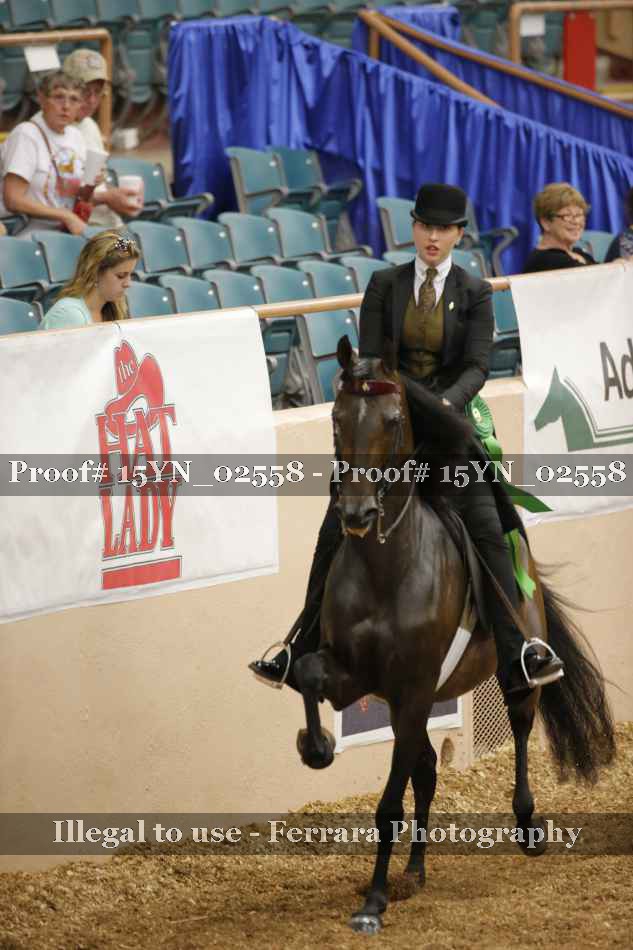 Proof 15YN_02558