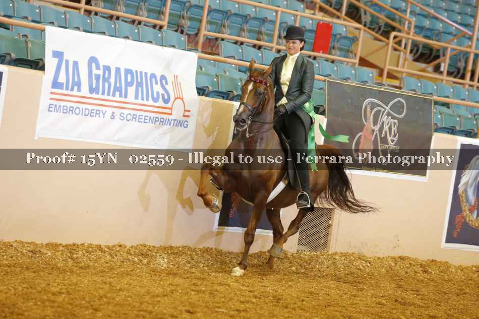 Proof 15YN_02559
