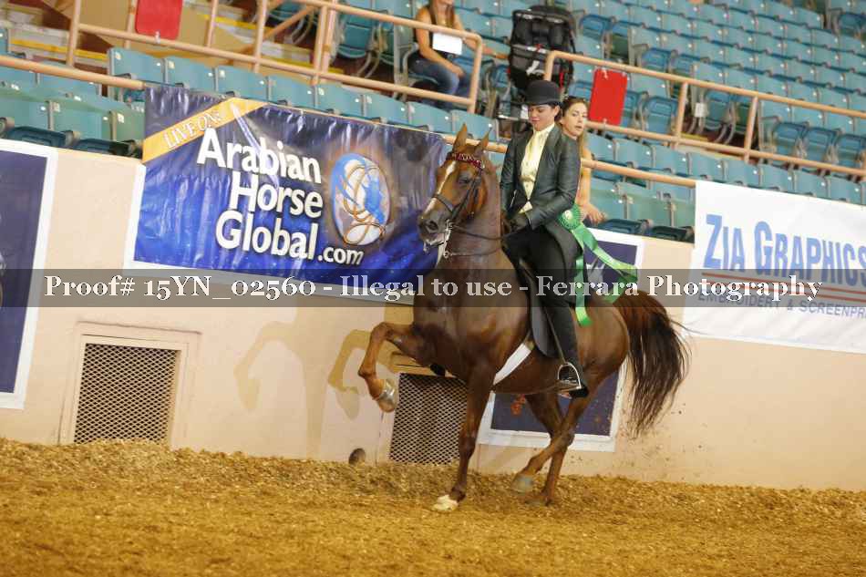 Proof 15YN_02560