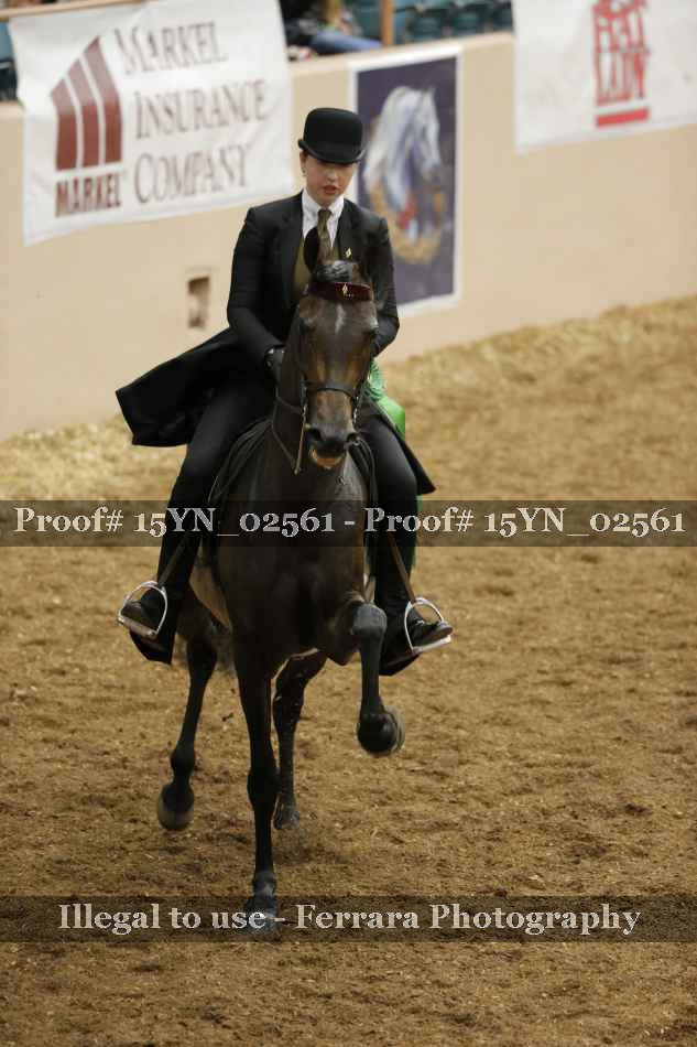 Proof 15YN_02561