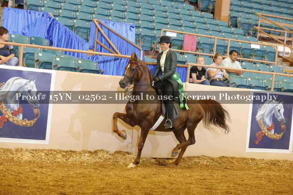 Proof 15YN_02562